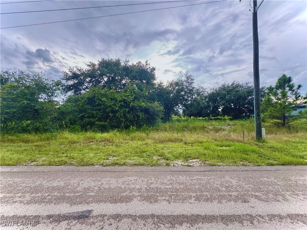 2519 59th Street W Lehigh Acres FL 33971 224072631 image1