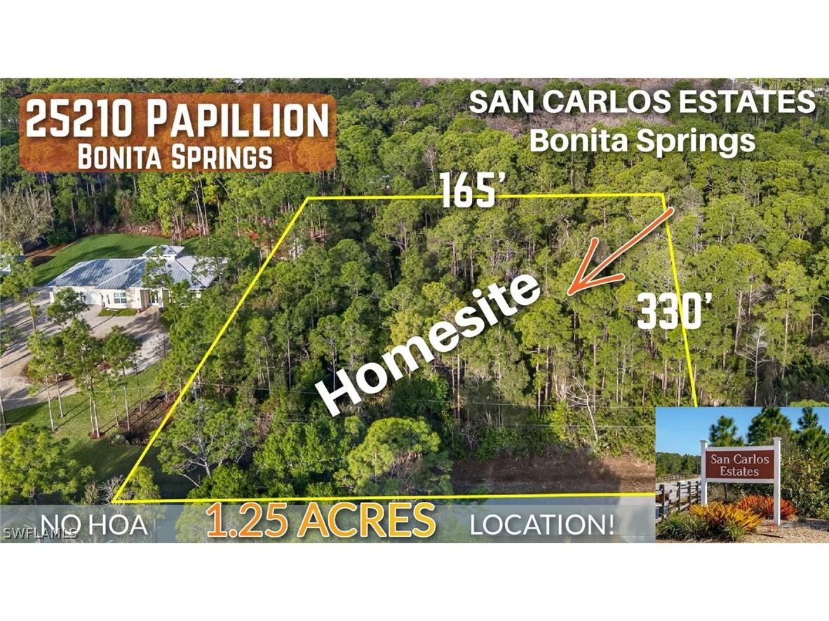 25210 Papillion Drive Bonita Springs FL 34135 226010245 image1