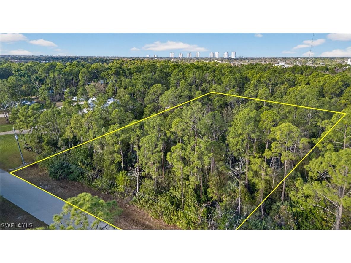 25210 Papillion Drive Bonita Springs FL 34135 226010245 image8