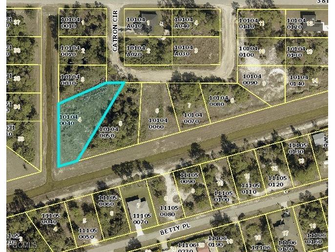 2525 Catron Circle Lehigh Acres FL 33971 2025010419 image1