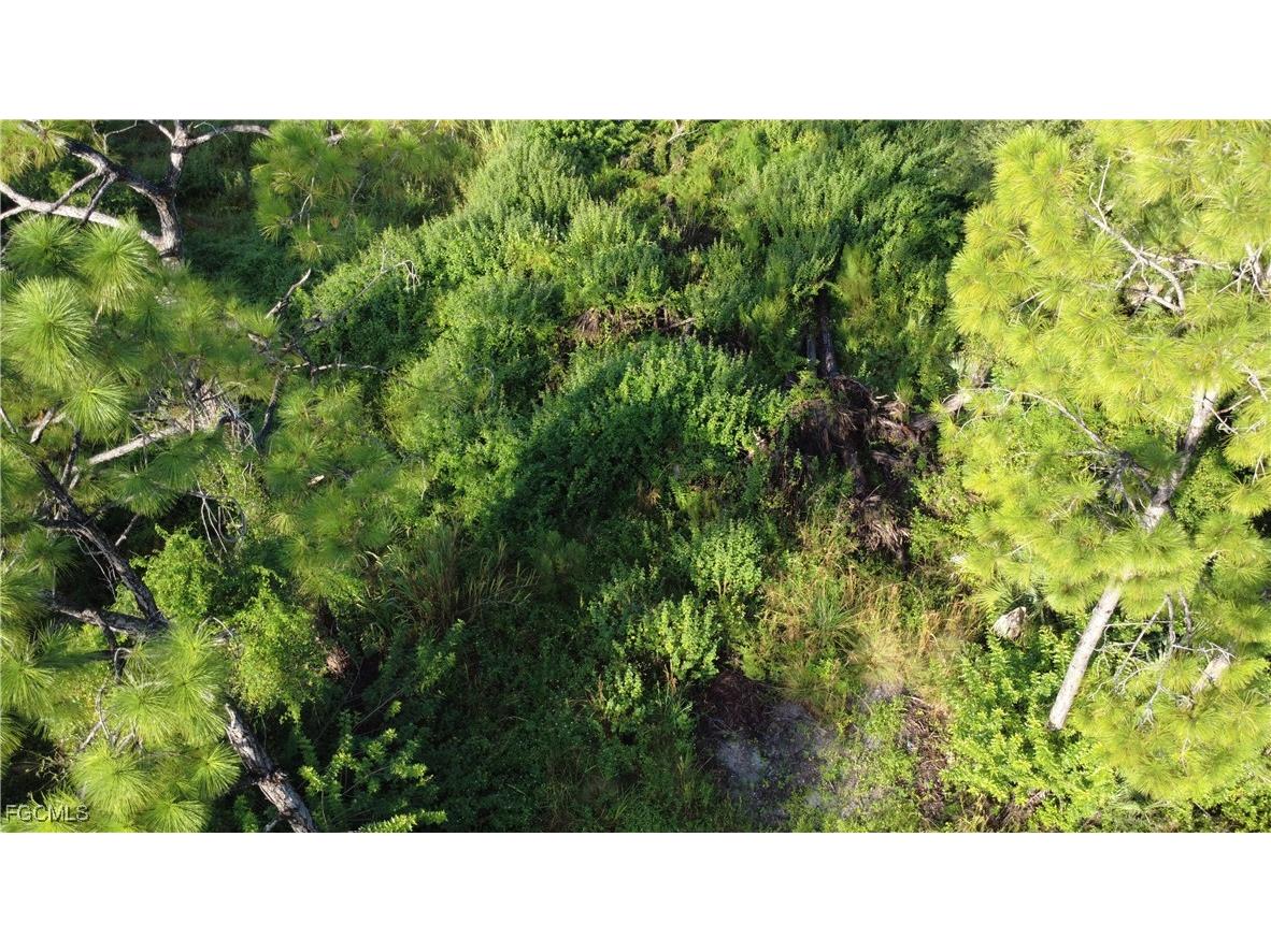 2525 Catron Circle Lehigh Acres FL 33971 2025010419 image3