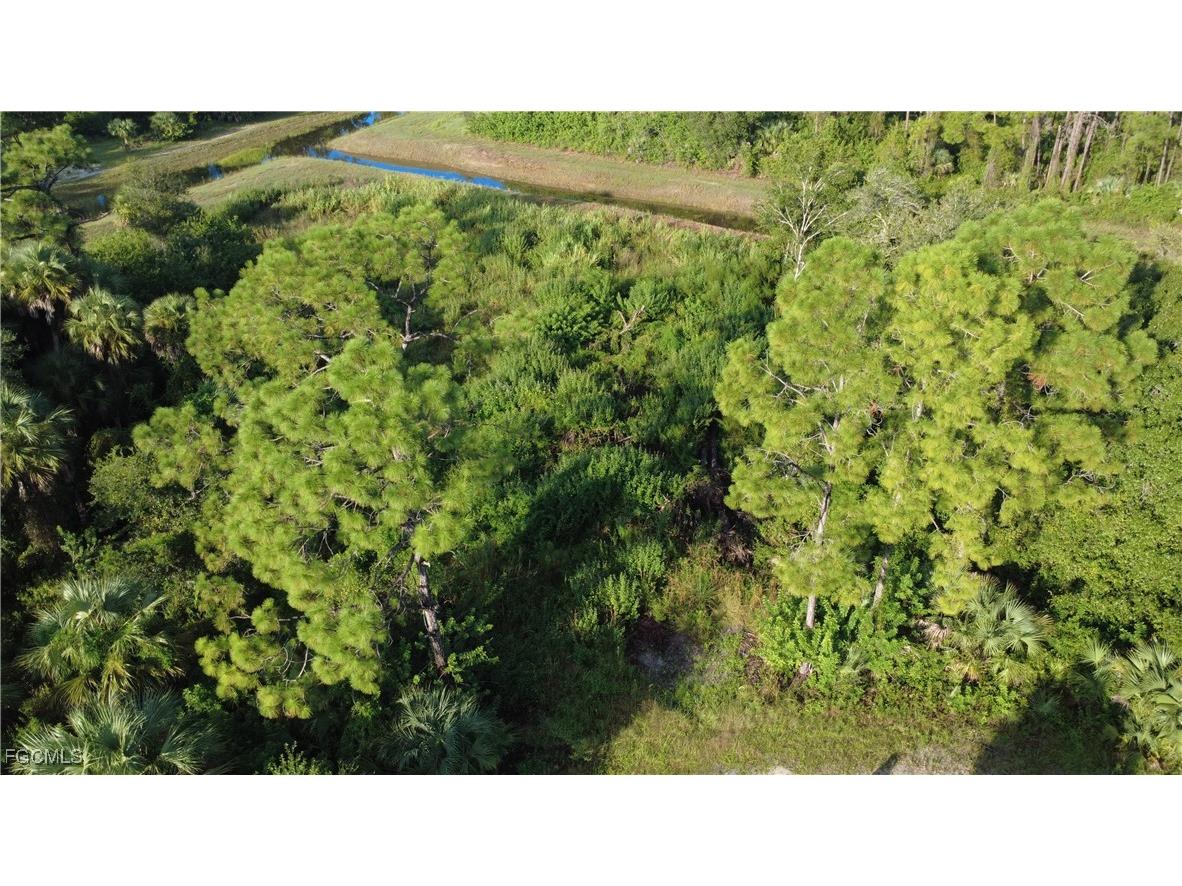 2525 Catron Circle Lehigh Acres FL 33971 2025010419 image4