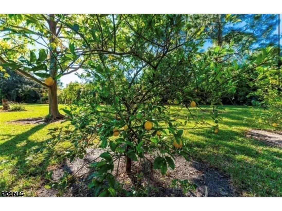 25271 Roland Lane Punta Gorda FL 33955 2026021856 image2