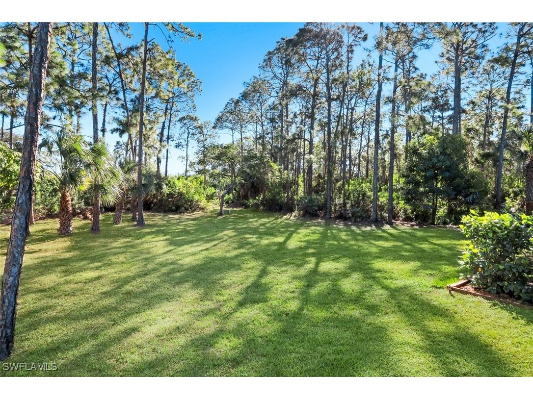 25295 Catskill Drive Bonita Springs FL 34135 226005080 image43