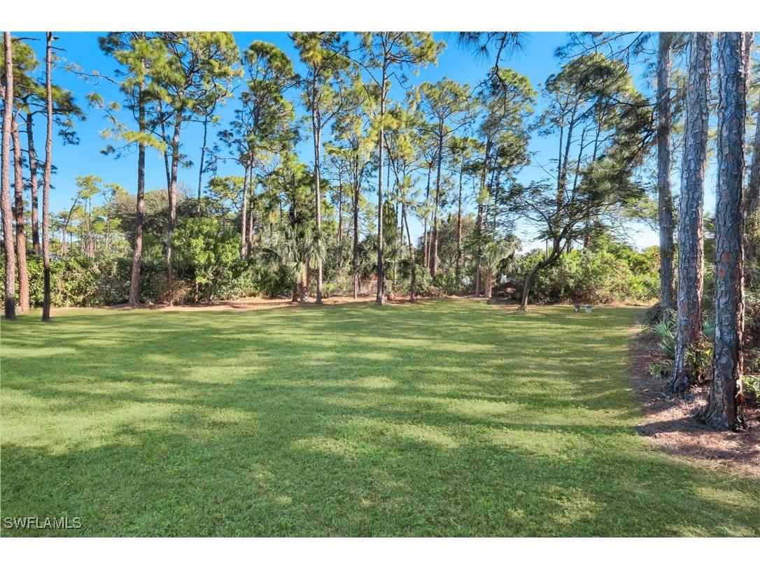 25295 Catskill Drive Bonita Springs FL 34135 226005080 image45