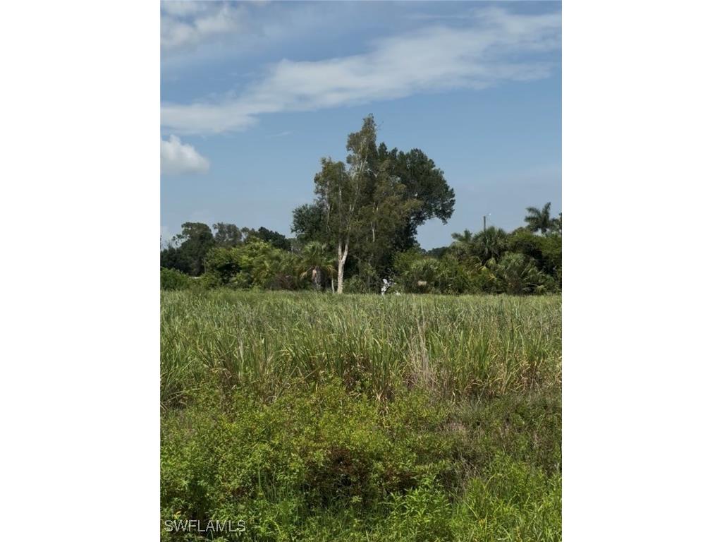 2536 N Tamiami Trail North Fort Myers FL 33903 225054520 image7