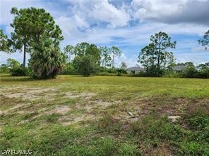 2537 NW 19 Avenue Cape Coral FL 33993 223018272 image1