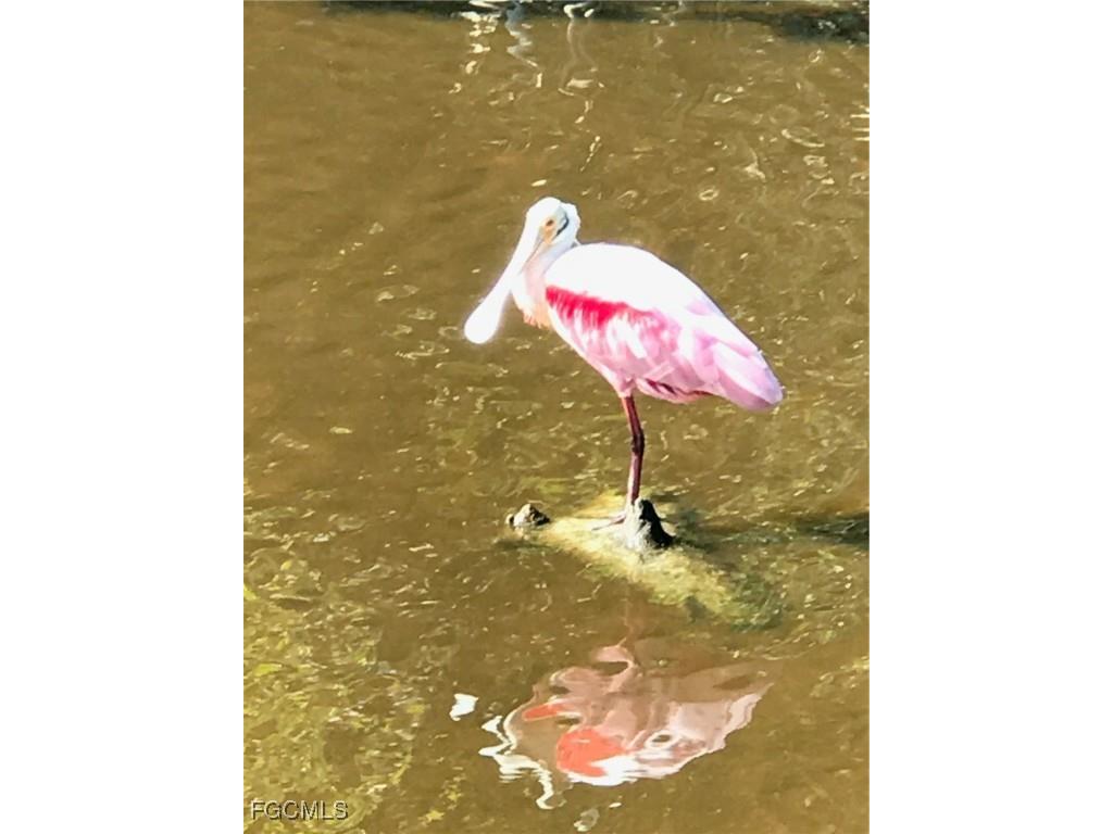 2549 W Gulf Drive #106 Sanibel FL 33957 2025011697 image49