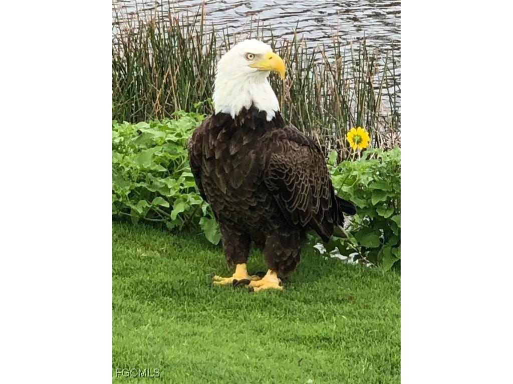 2549 W Gulf Drive #106 Sanibel FL 33957 2025011697 image50