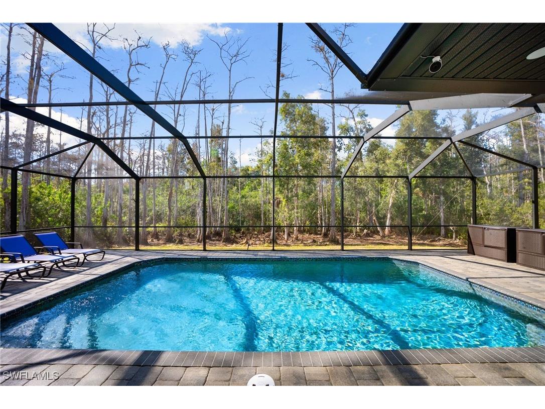 25526 Busy Bee Drive Bonita Springs FL 34135 226002367 image24