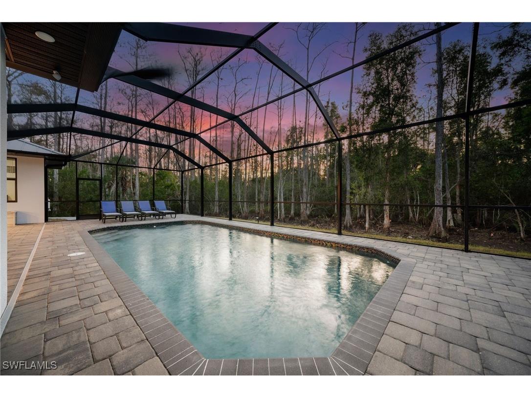 25526 Busy Bee Drive Bonita Springs FL 34135 226002367 image5