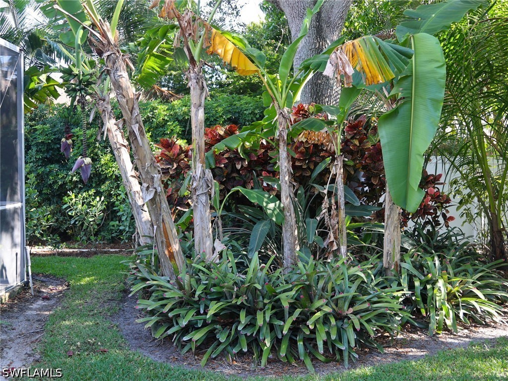 2554 Outrigger Lane Naples FL 34104 226019413 image33