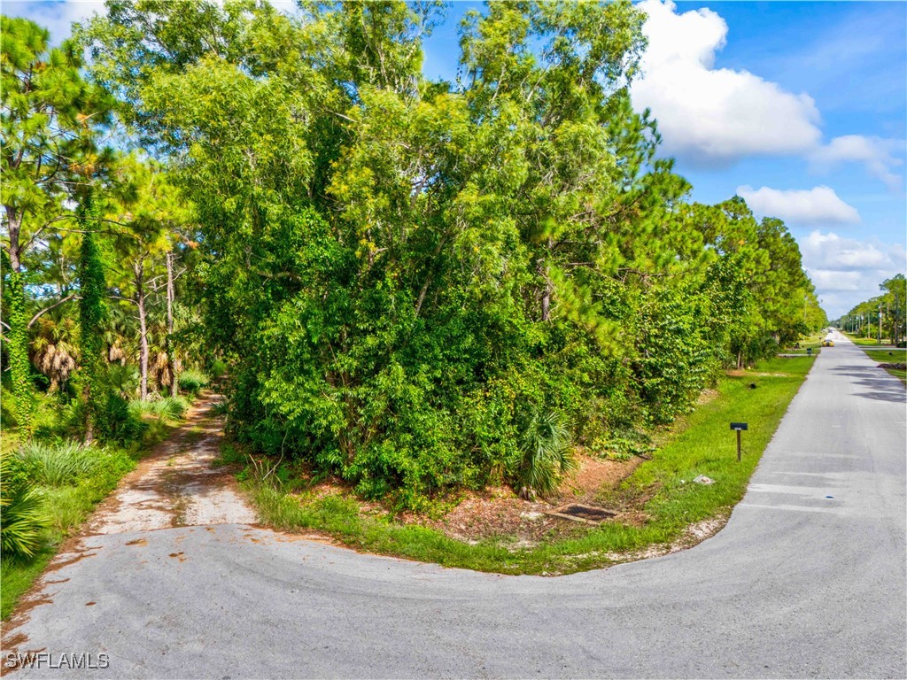 25650 Luci Drive Bonita Springs FL 34135 225068625 image10