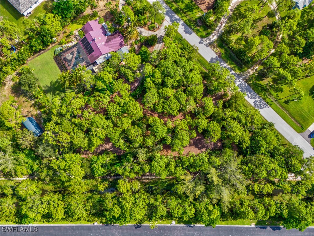 25650 Luci Drive Bonita Springs FL 34135 225068625 image11