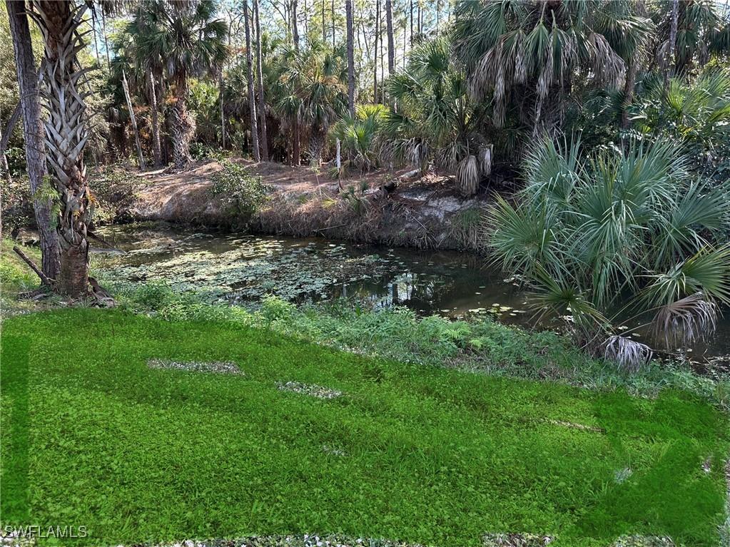 25767 Lake Amelia Way #102 Bonita Springs FL 34135 225081308 image5