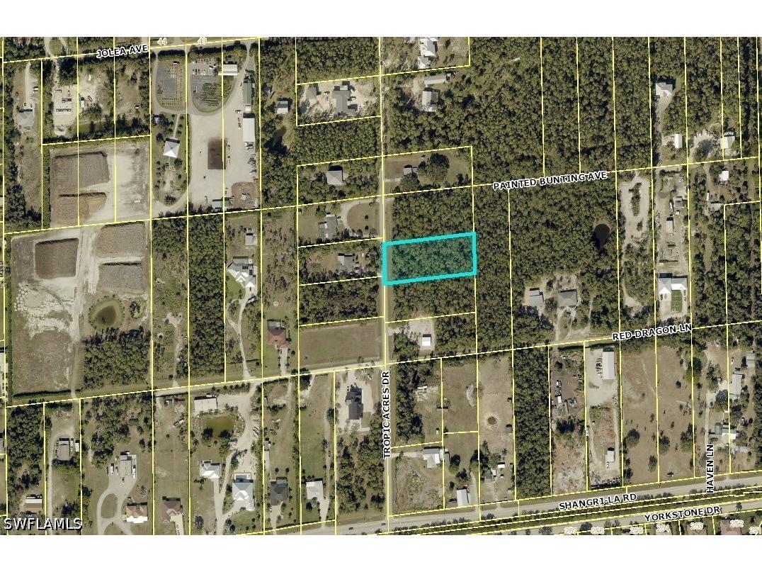 25785 Tropic Acres Drive Bonita Springs FL 34135 226022407 image3