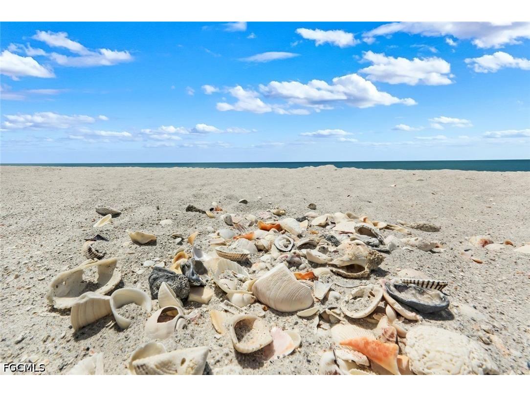 25840 Hickory Boulevard #301 Bonita Springs FL 34134 2026019890 image26