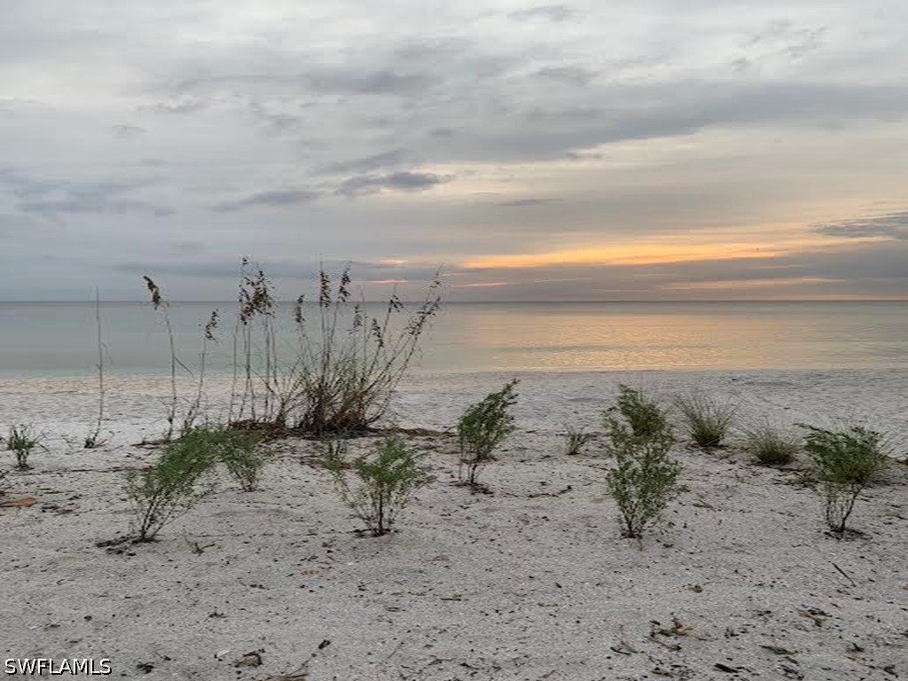 25850 Hickory Boulevard #101 Bonita Springs FL 34134 226015652 image12