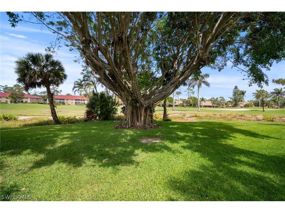 259 Deerwood Circle #6 Naples FL 34113 226007308 image31