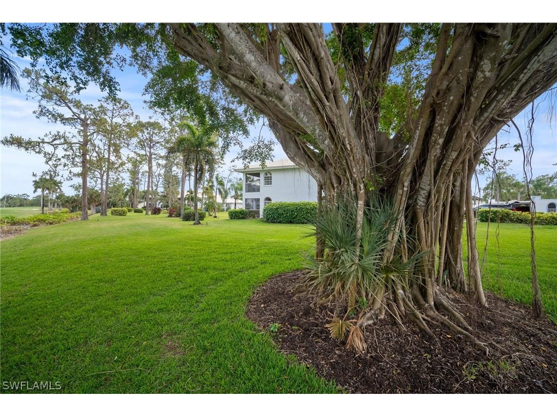 259 Deerwood Circle #6 Naples FL 34113 226007308 image34