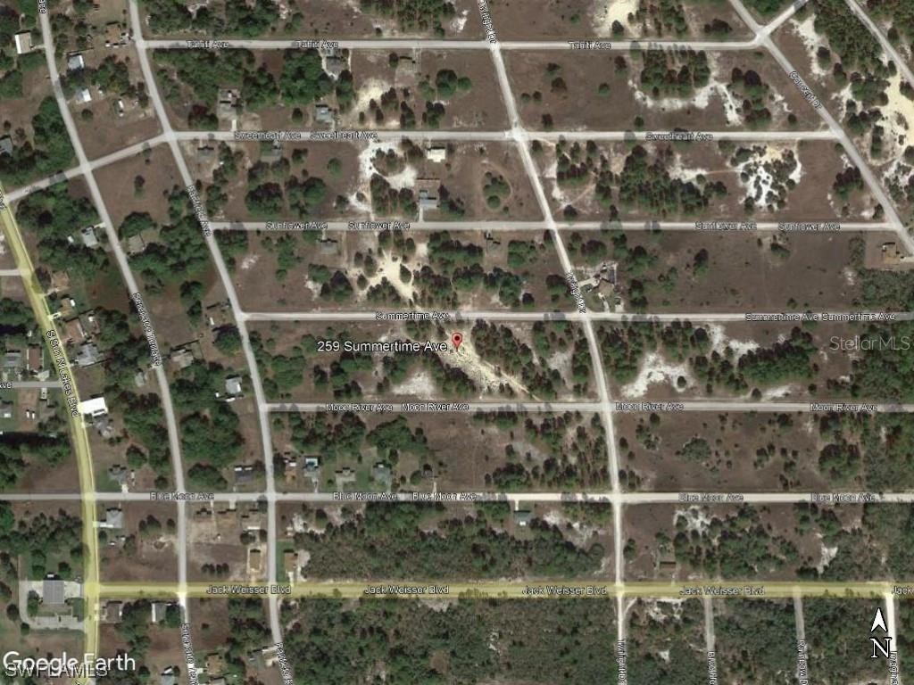 259 Summertime Avenue Other FL 33852 223016001 image1
