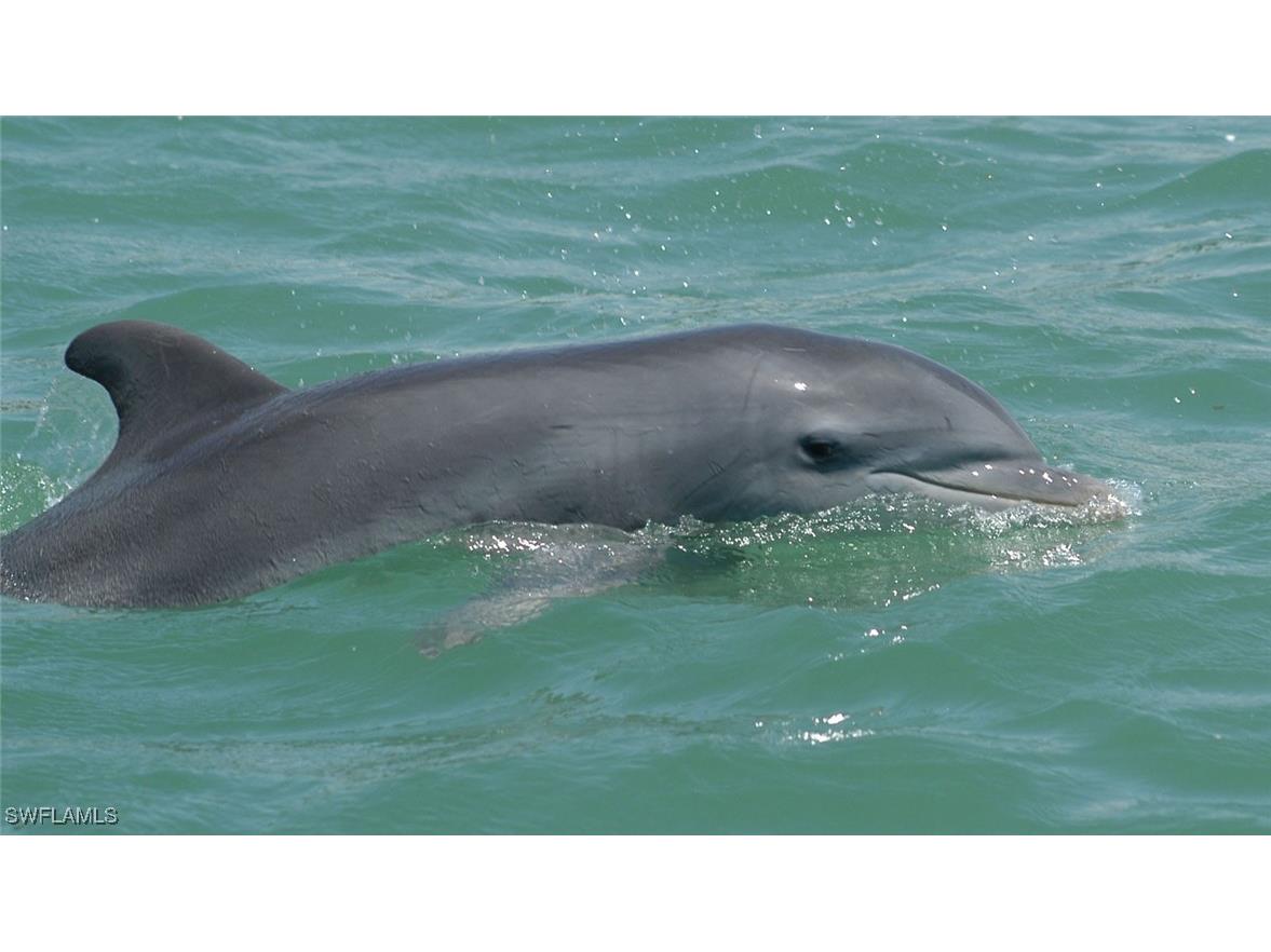 25900 Hickory Boulevard #804 Bonita Springs FL 34134 225068484 image17