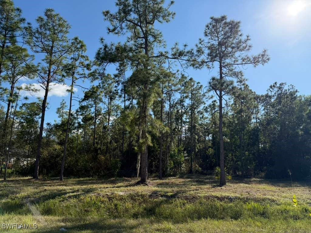 2596 56th Avenue NE Naples FL 34120 225081875 image1