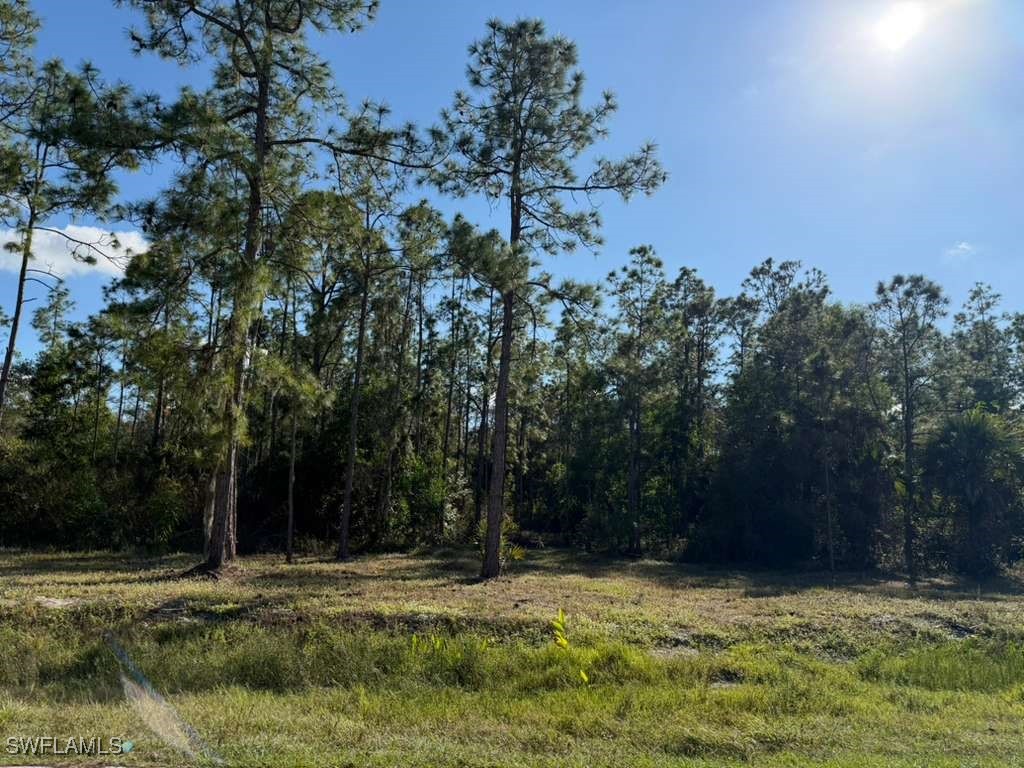 2596 56th Avenue NE Naples FL 34120 225081875 image2