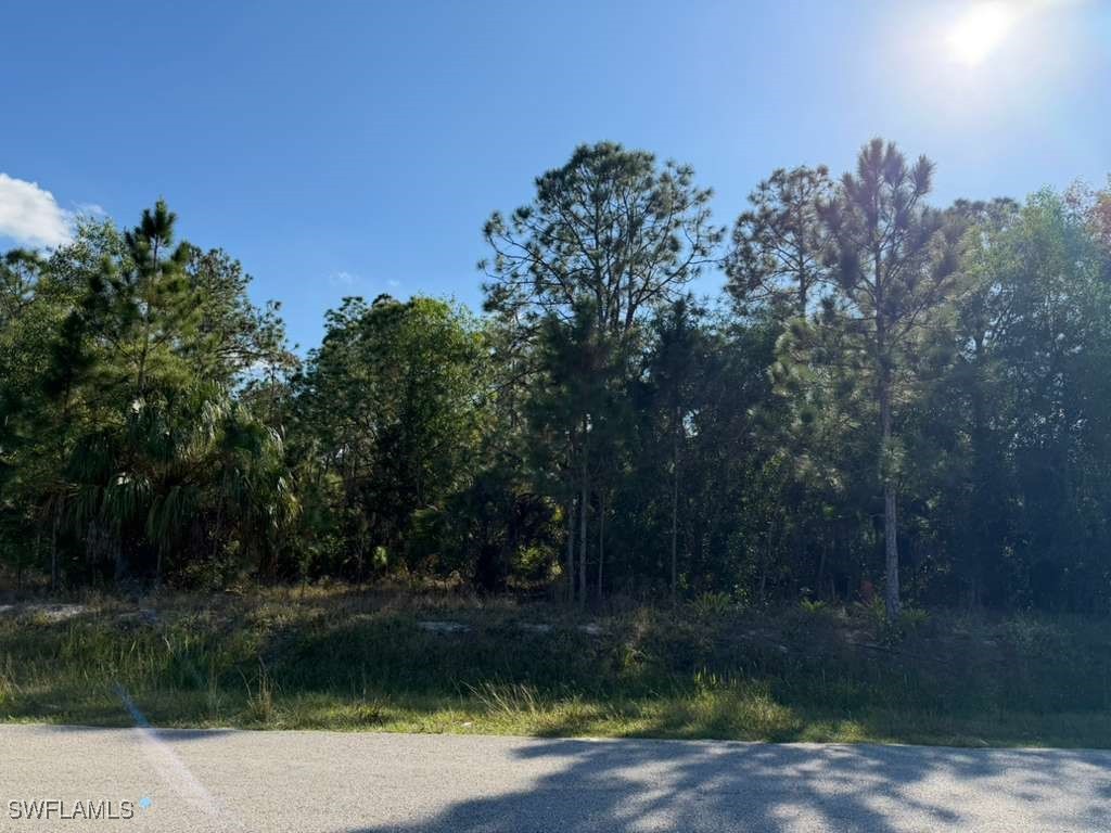 2596 56th Avenue NE Naples FL 34120 225081875 image3