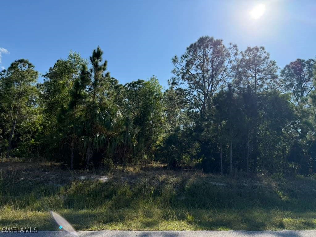 2596 56th Avenue NE Naples FL 34120 225081875 image4