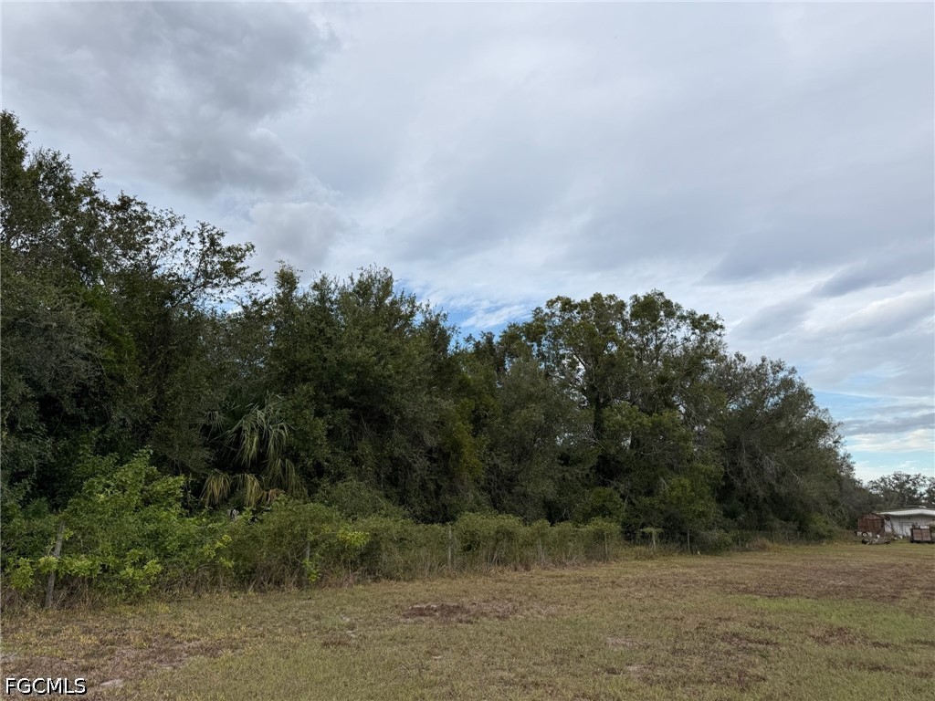 2597 NE Nat Avenue Arcadia FL 34266 2026019339 image4