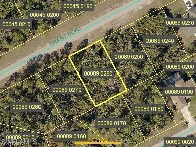 260 Grant Boulevard Lehigh Acres FL 33974 223030104 image1
