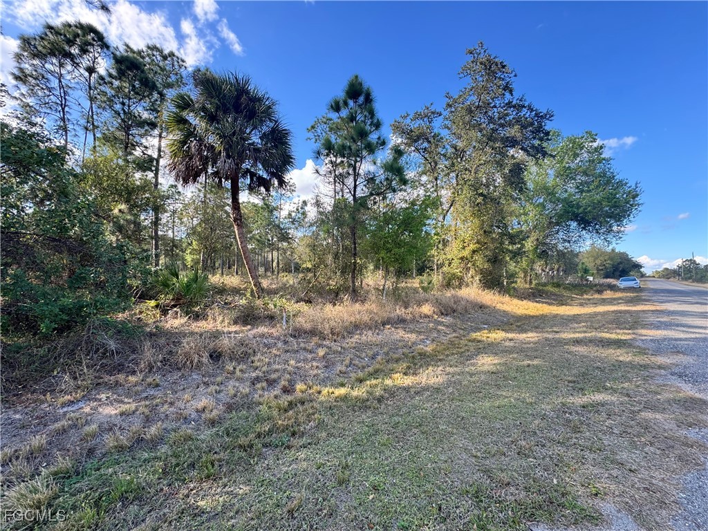 260 N Olivo Street Montura Ranches FL 33440 2026004848 image5