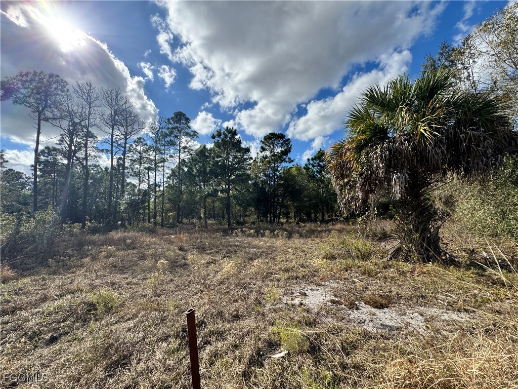 260 N Olivo Street Montura Ranches FL 33440 2026004848 image6