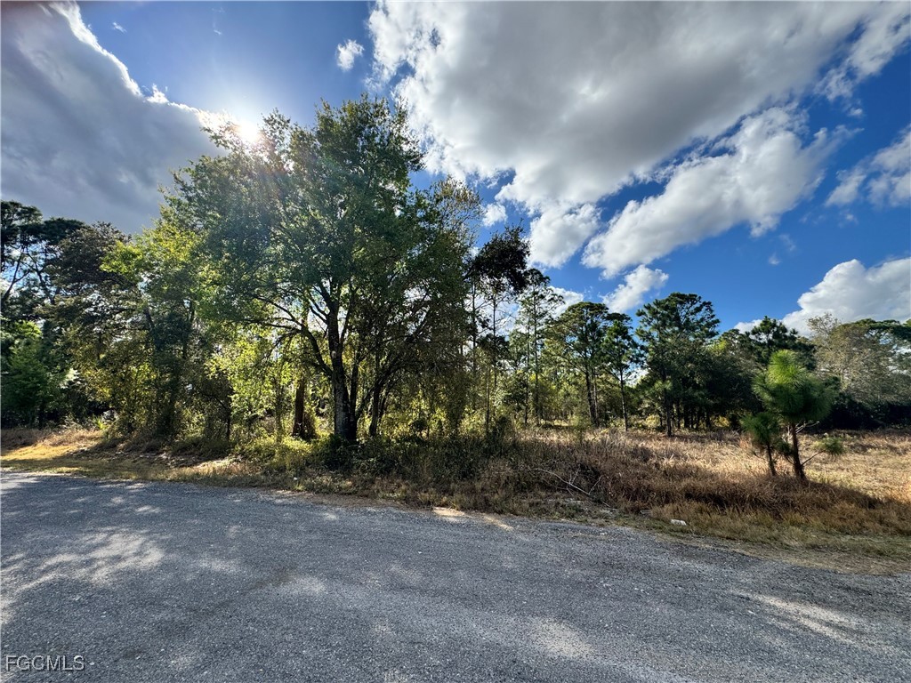 260 N Olivo Street Montura Ranches FL 33440 2026004848 image7