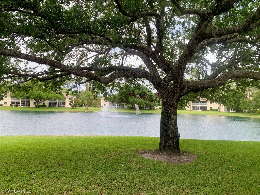 260 Timber Lake Circle #F102 Naples FL 34104 224044998 image1