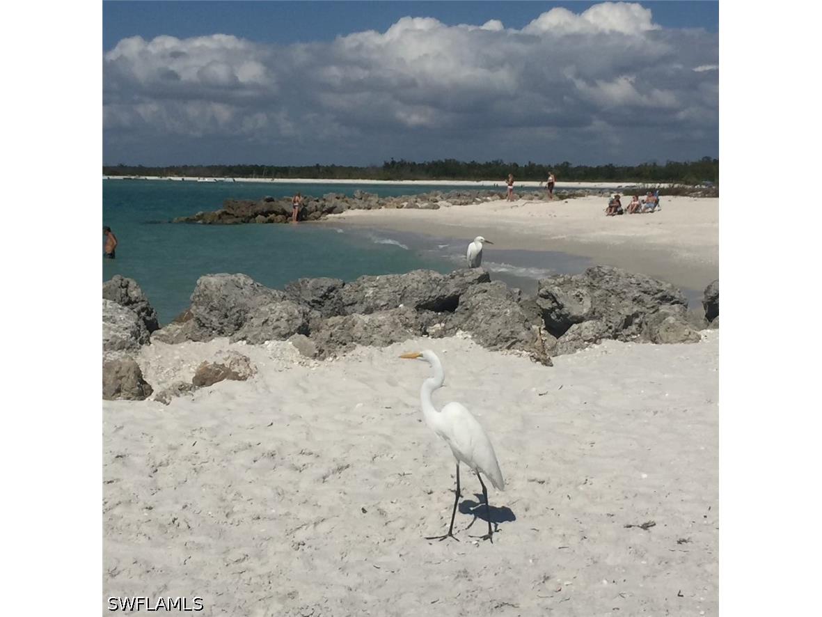 26000 Hickory Boulevard #705 Bonita Springs FL 34134 226026037 image15