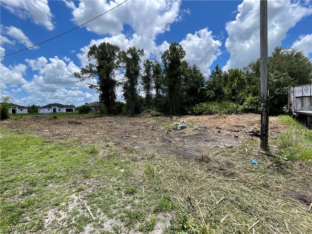 2603 3rd Street SW Lehigh Acres FL 33976 223043383 image1