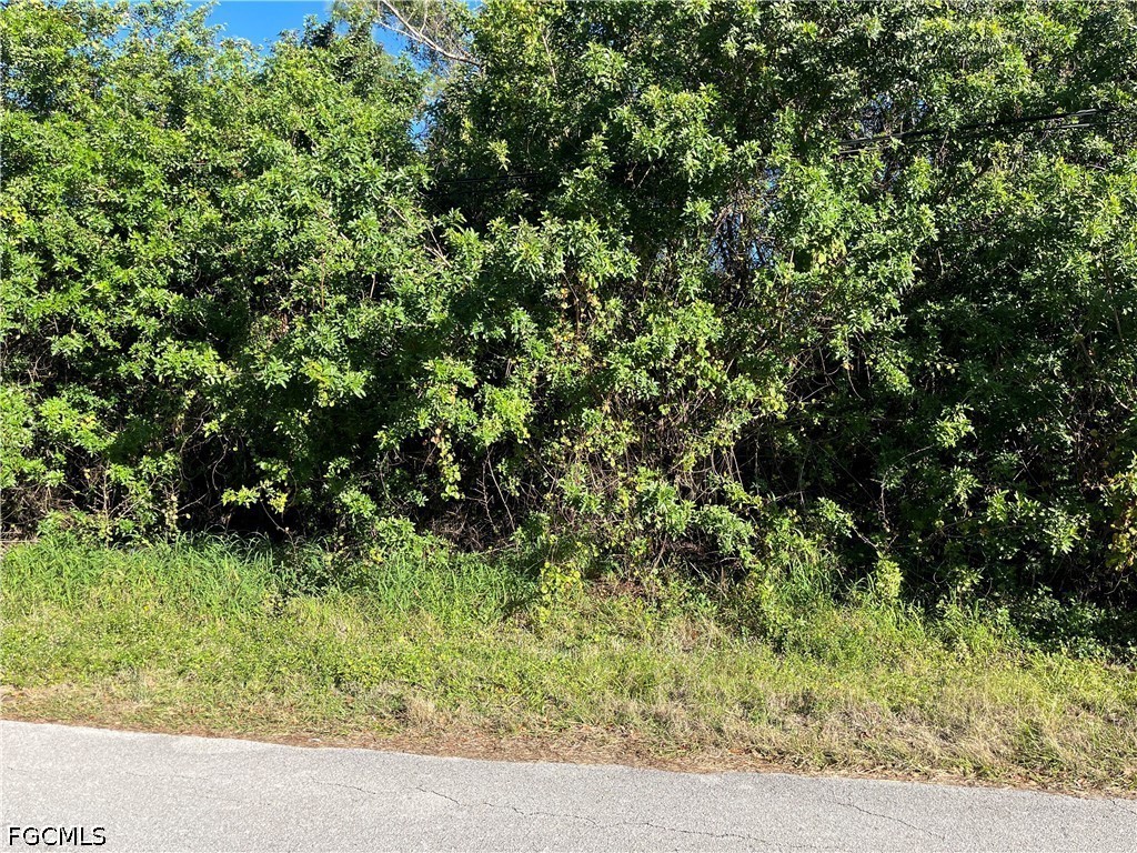2603 E 7th Street Lehigh Acres FL 33936 2026015246 image1