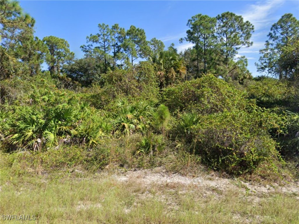 2604 Fitch Avenue Alva FL 33920 225081422 image2