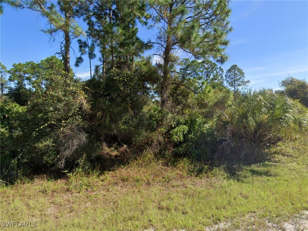 2604 Fitch Avenue Alva FL 33920 225081422 image3