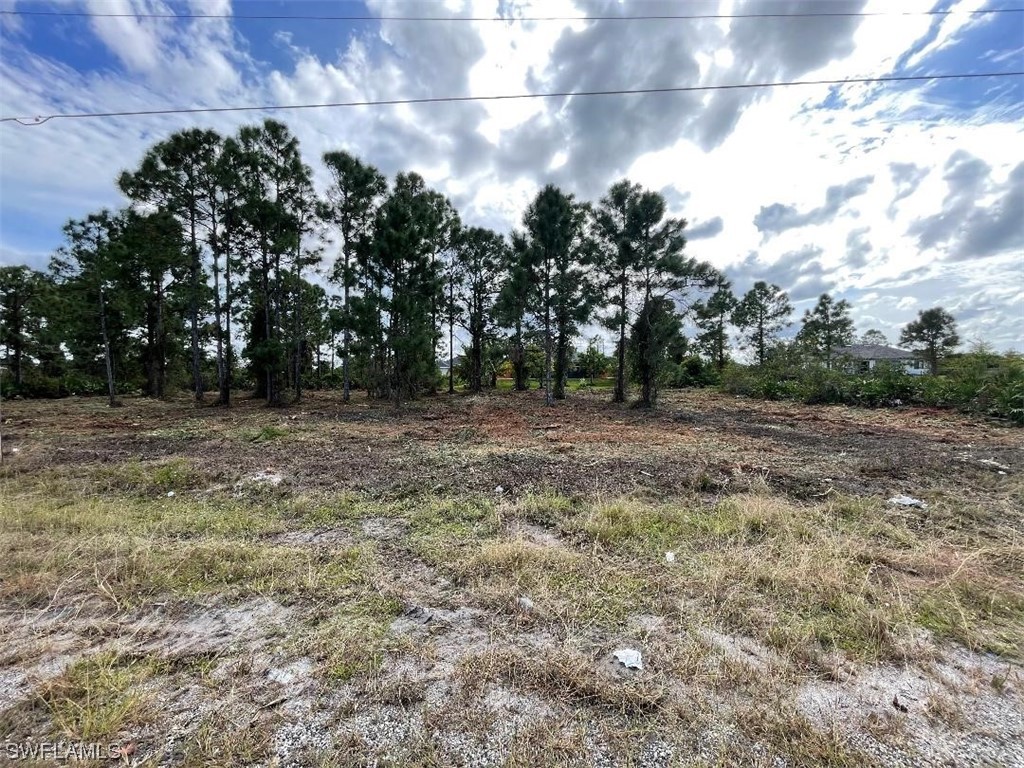 2605 17th Street SW Lehigh Acres FL 33976 223081993 image1