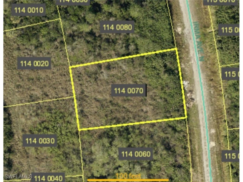 2605 Irma Avenue N Lehigh Acres FL 33971 225006268 image1