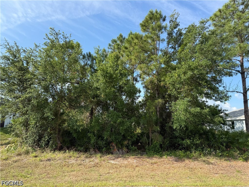 2607 26th Street SW Lehigh Acres FL 33976 2026022145 image2