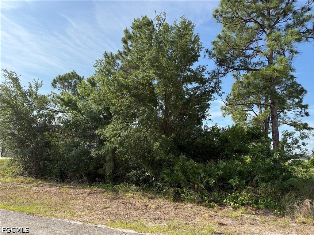 2607 26th Street SW Lehigh Acres FL 33976 2026022145 image3