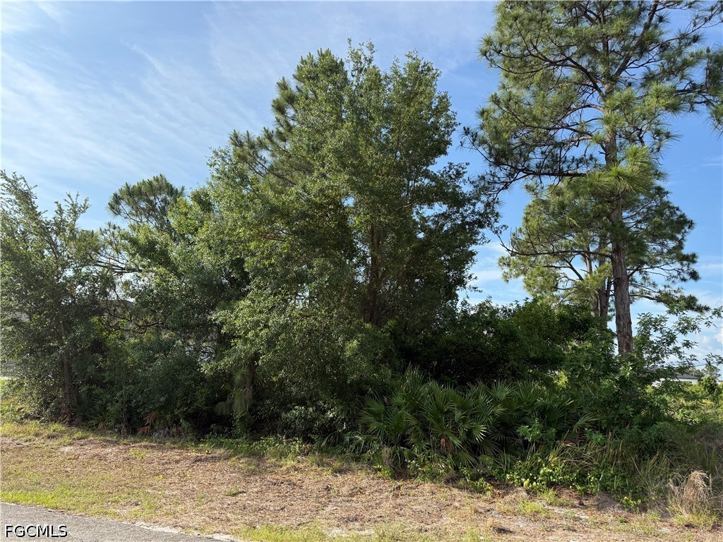 2607 26th Street SW Lehigh Acres FL 33976 2026022145 image4