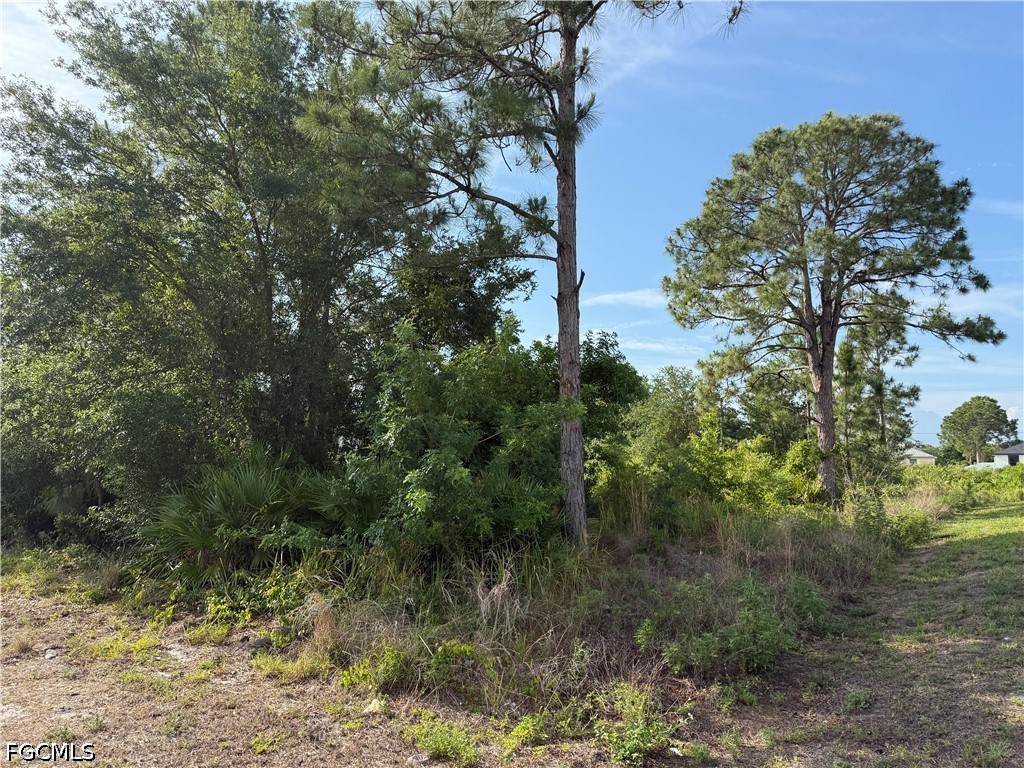 2607 26th Street SW Lehigh Acres FL 33976 2026022145 image5