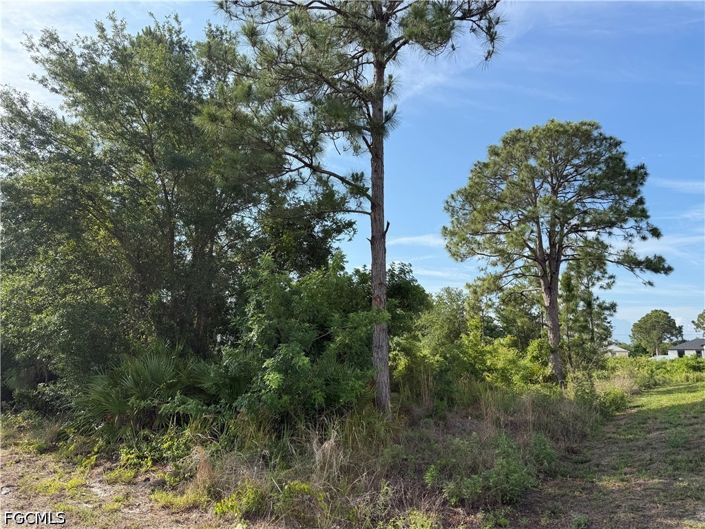 2607 26th Street SW Lehigh Acres FL 33976 2026022145 image6