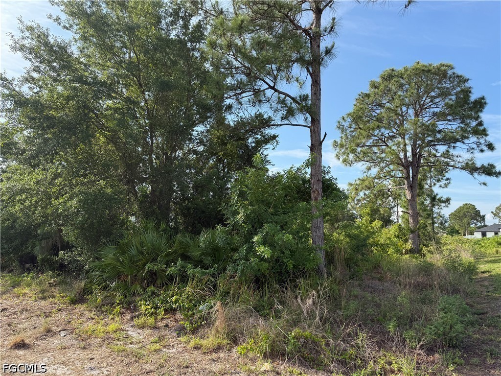2607 26th Street SW Lehigh Acres FL 33976 2026022145 image7