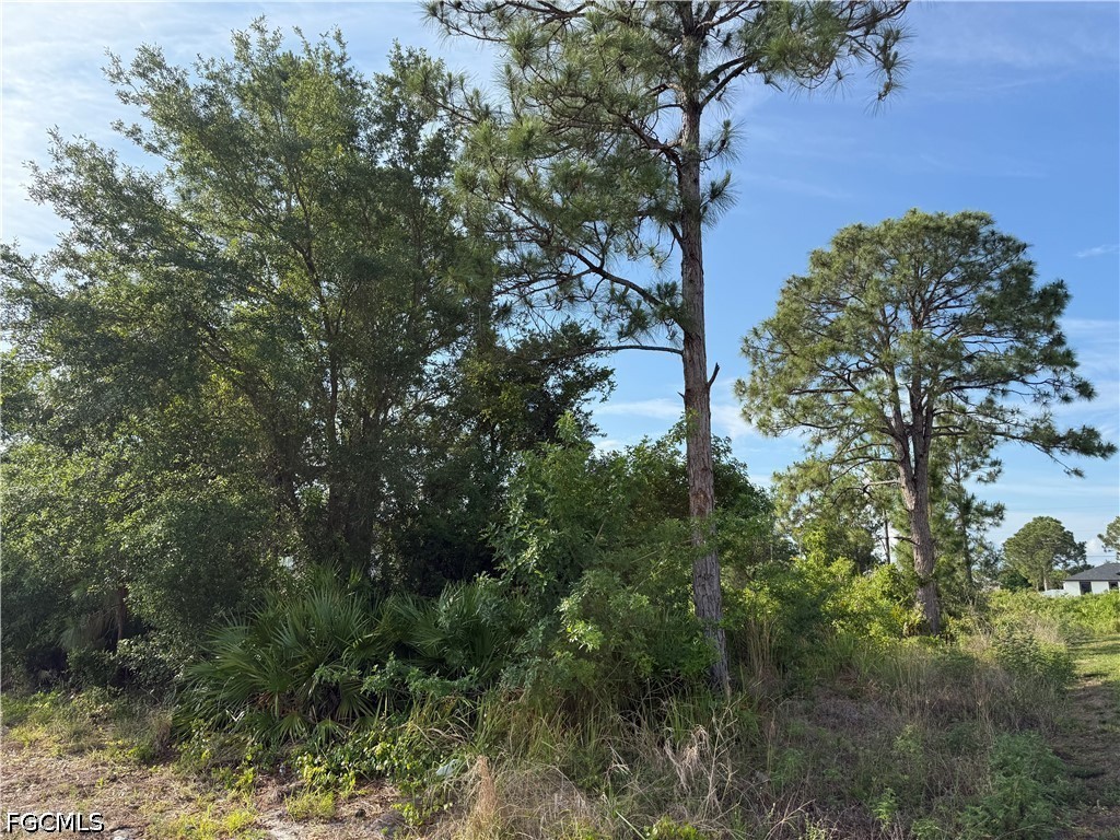 2607 26th Street SW Lehigh Acres FL 33976 2026022145 image8